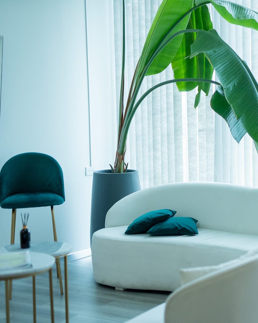 Sala de espera de BioCrono con sillones blancos y plantas junto al ventanal